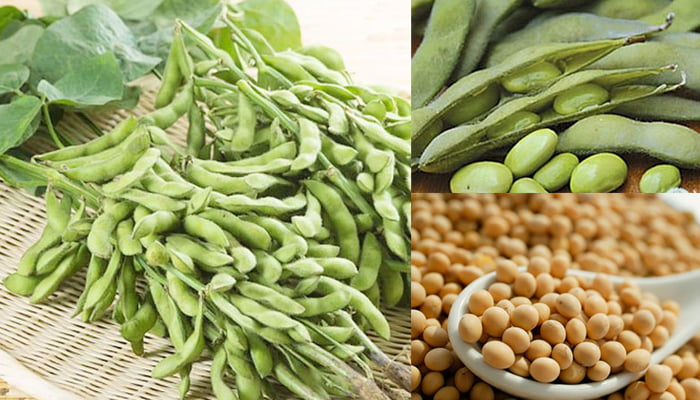 Thoi Vu Thich Hop Cach Tac Cay Dau Tuong