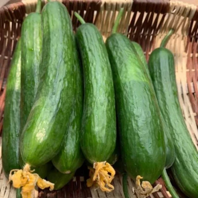 2 1034ac47e85441ffa87f24f2fb90f1a4